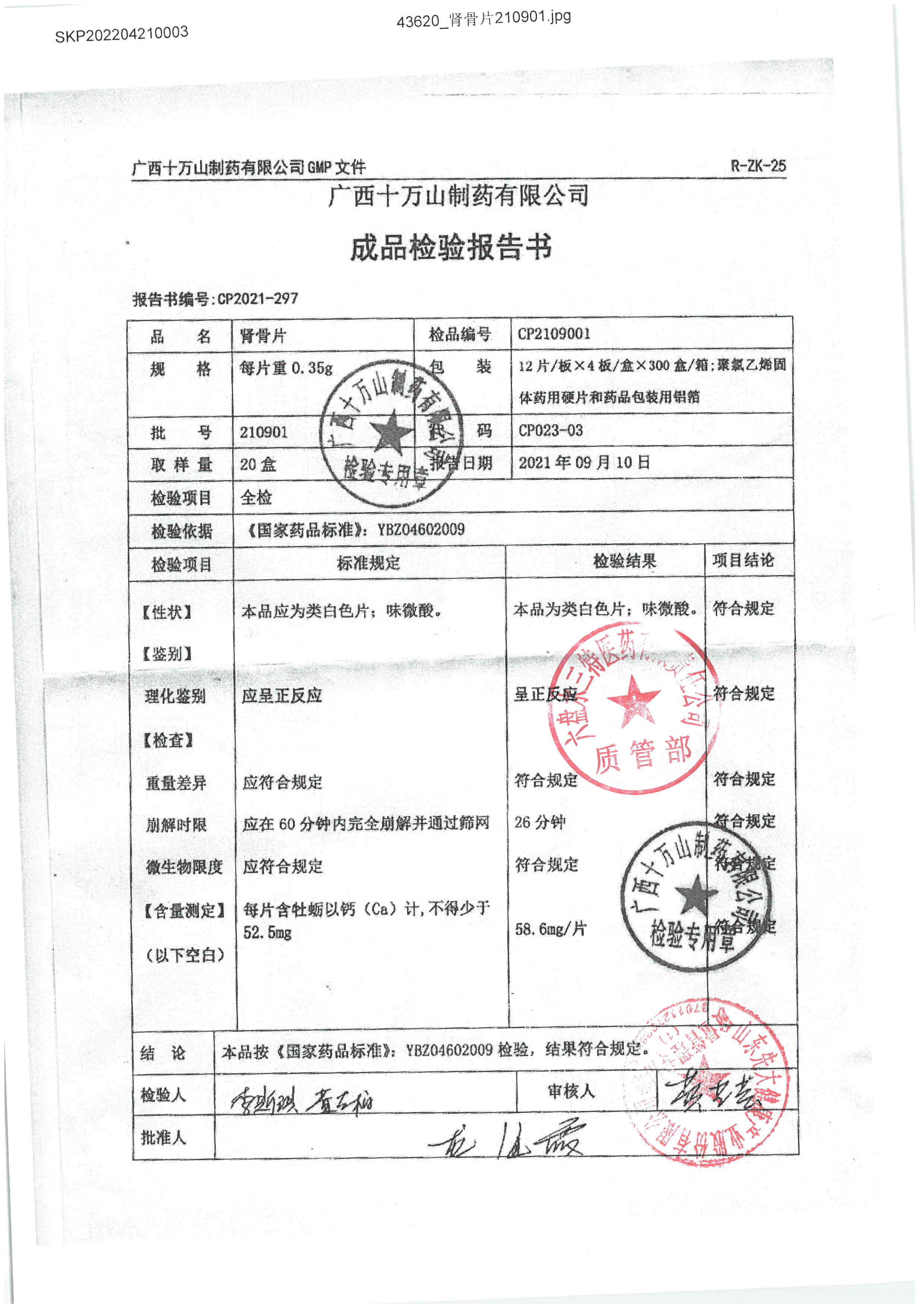 肾骨片210901.jpg
